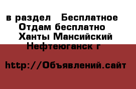  в раздел : Бесплатное » Отдам бесплатно . Ханты-Мансийский,Нефтеюганск г.